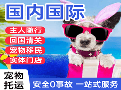 奇台江布拉克航空托运国际宠物托运 【国